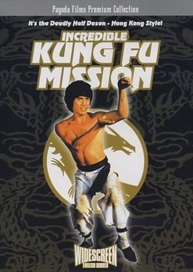 A kung-fu mester